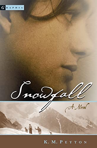 Imagen de archivo de Snowfall a la venta por Wonder Book