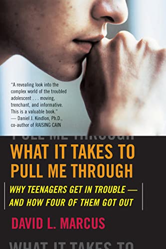 Beispielbild fr What It Takes to Pull Me Through : Why Teenagers Get in Trouble and How Four of Them Got Out zum Verkauf von Better World Books