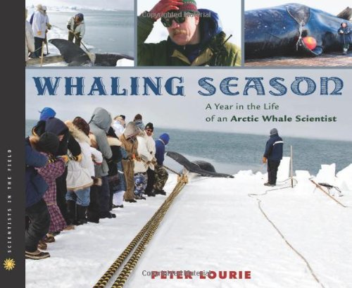 9780618777099: Whaling Season: A Year in the Life of an Arctic Whale Scientist (Scientists in the Field Series)