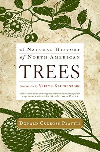 9780618799046: A Natural History of North American Trees