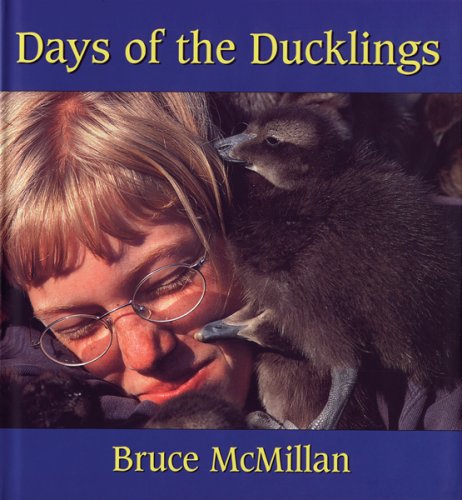 9780618862702: Days of the Ducklings