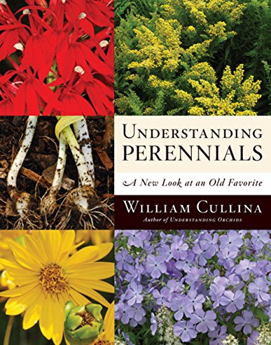 9780618883462: Understanding Perennials: A New Look at an Old Favorite