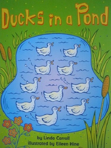 Imagen de archivo de Ducks In a Pond: Chapter Reader (Houghton Mifflin Mathmatics) a la venta por TheJunkStore