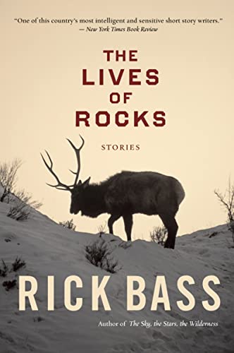 Stock image for The Lives of Rocks for sale by Better World Books