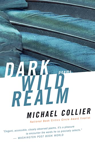 Beispielbild fr Dark Wild Realm zum Verkauf von Wonder Book