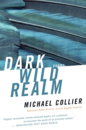 9780618919918: Dark Wild Realm