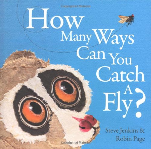 Beispielbild fr How Many Ways Can You Catch a Fly? zum Verkauf von Better World Books