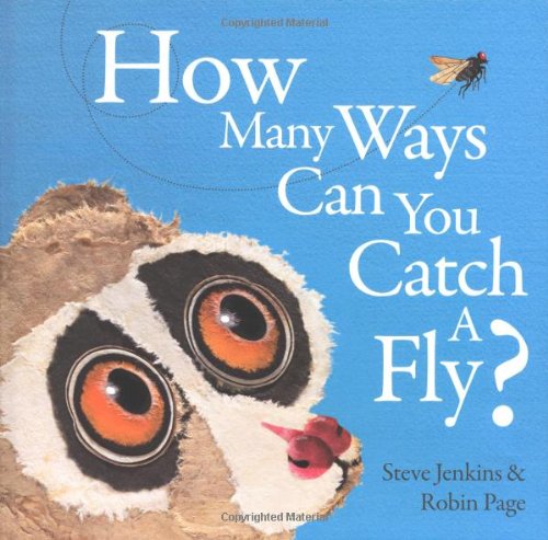 Stock image for How Many Ways Can You Catch a Fly? for sale by Better World Books