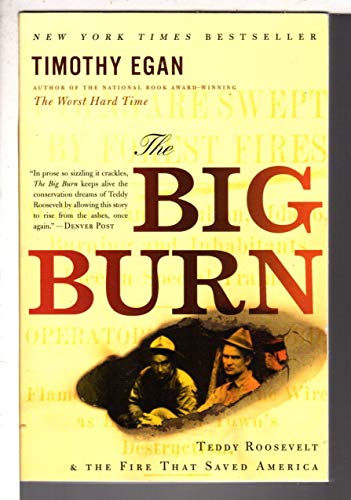 Stock image for The Big Burn: Teddy Roosevelt and the Fire That Saved America for sale by Orion Tech