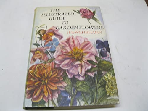 Beispielbild fr Cape Peninsula: South African Wild Flower Guide 3 zum Verkauf von J. HOOD, BOOKSELLERS,    ABAA/ILAB
