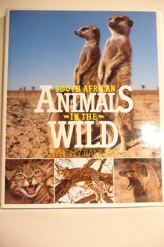 Beispielbild fr SOUTH AFRICAN ANIMALS IN THE WILD zum Verkauf von AwesomeBooks
