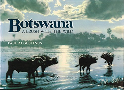 Imagen de archivo de Botswana: A brush with the wild a la venta por Hawking Books