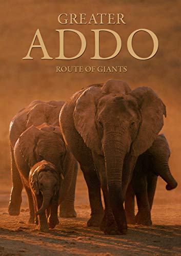 9780620299350: Greater Addo: Route of Giants