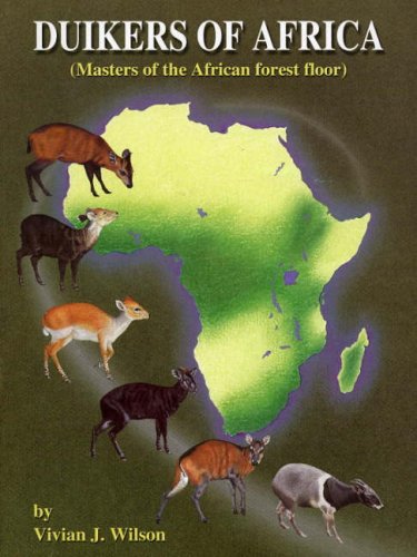 9780620337731: Duikers of Africa - Masters of the African Forest Floor: A Study of Duikers - People - Hunting and Bushmeat