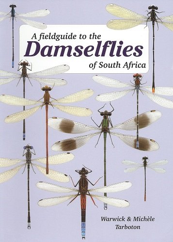 Stock image for A Fieldguide to the Damselflies of South Africa for sale by COLLINS BOOKS