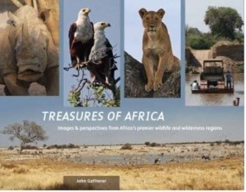 Stock image for Treasures of Africa for sale by PBShop.store US