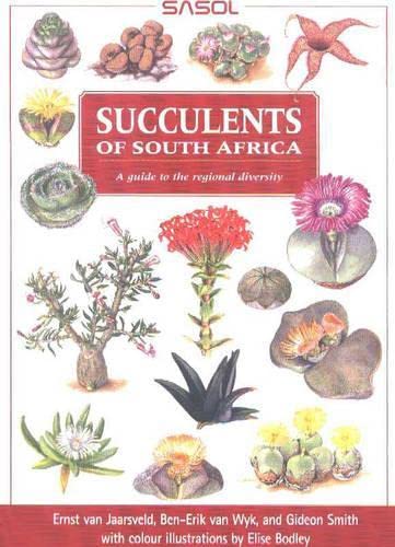 Imagen de archivo de Succulents of South Africa: A Guide to the Regional Diversity a la venta por Books Unplugged