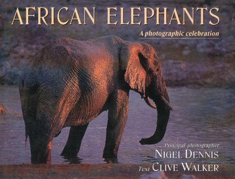 Beispielbild fr African elephants zum Verkauf von Wonder Book