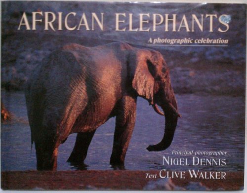 Imagen de archivo de African elephants a la venta por SecondSale