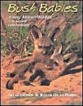 Stock image for Bushbabies: Young African Wildlife, a Visual Celebration for sale by WorldofBooks