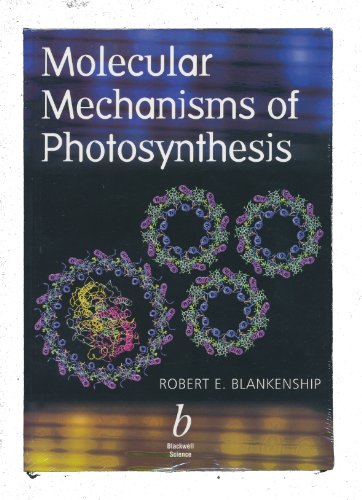 Imagen de archivo de Molecular Mechanisms of Photosynthesis a la venta por WorldofBooks