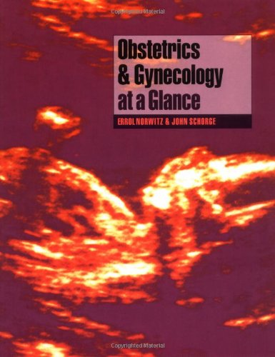Imagen de archivo de Obstetrics and Gynaecology at a Glance (1st Edition) a la venta por HPB-Red