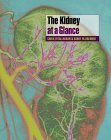 Imagen de archivo de The Kidney at a Glance a la venta por Anybook.com