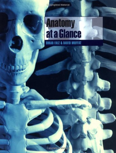 Beispielbild fr Anatomy at a Glance zum Verkauf von WorldofBooks