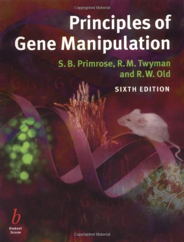Beispielbild fr Principles of Gene Manipulation zum Verkauf von BooksRun
