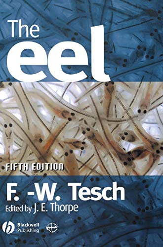 Stock image for The Eel 5e for sale by Revaluation Books