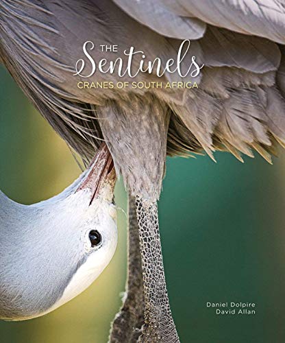 Stock image for The Sentinels: Cranes of South Africa for sale by WorldofBooks