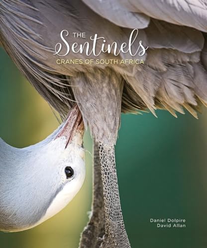 Stock image for The Sentinels: Cranes of South Africa for sale by WorldofBooks
