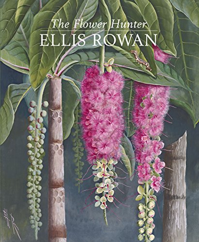 Stock image for The Flower Hunter: Ellis Rowan for sale by WorldofBooks