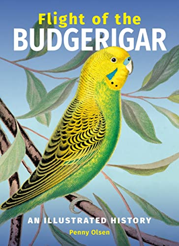 9780642279606: Flight of the Budgerigar