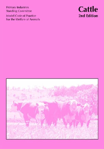 Stock image for Model Code of Practice for the Welfare of Animals [OP]: Cattle (Food Safety & Production) for sale by Phatpocket Limited