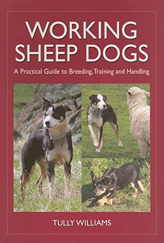 Stock image for Working Sheep Dogs: A Practical Guide to Breeding, Training and Handling (Landlinks Press) for sale by Ergodebooks