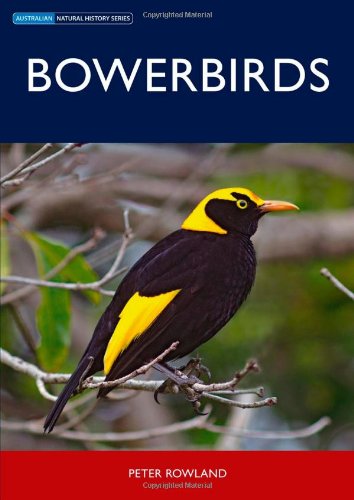 9780643094208: Bowerbirds (Australian Natural History)