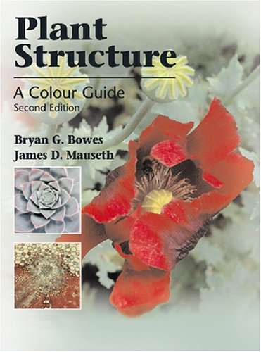 Imagen de archivo de Plant Structure a la venta por ThriftBooks-Dallas