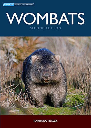 Stock image for Wombats for sale by Pulp Fiction Murwillumbah