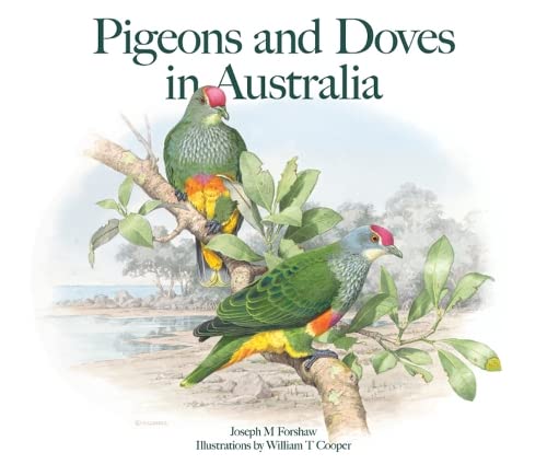 Stock image for Pigeons and Doves in Australia for sale by Riverby Books (DC Inventory)