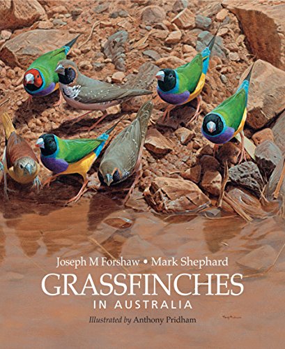 9780643096349: Grassfinches in Australia