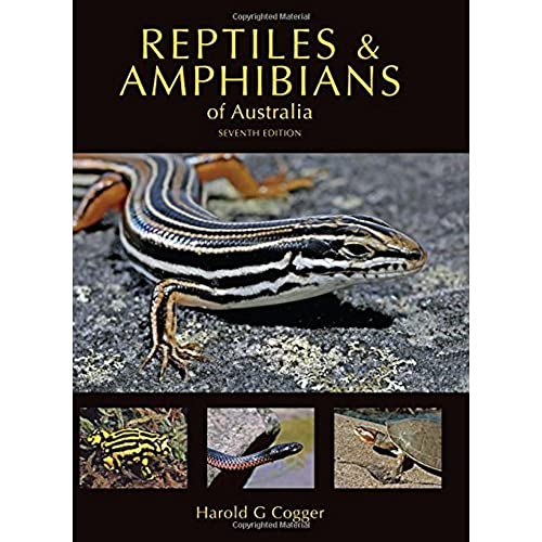 9780643100350: Reptiles & Amphibians of Australia