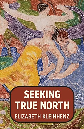 Imagen de archivo de Seeking True North a la venta por Lucky's Textbooks