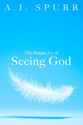 Stock image for The Simple Joy Of Seeing God for sale by ThriftBooks-Dallas