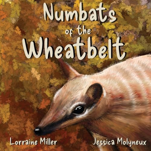 Stock image for Numbats of the Wheatbelt [Soft Cover ] for sale by booksXpress