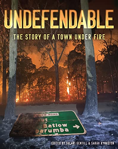 Stock image for Undefendable: The Story of a Town Under Fire for sale by GF Books, Inc.