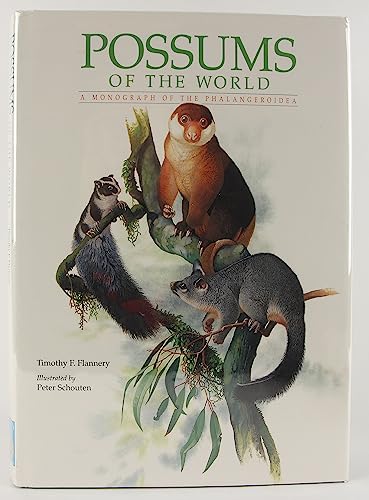 Stock image for Possums of the World: A Monograph of the Phalangeroidea for sale by Books From California