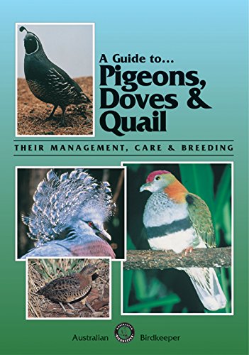 Imagen de archivo de A Guide to Pigeons, Doves & Quail: Their Management, Care and Breeding a la venta por HPB-Red