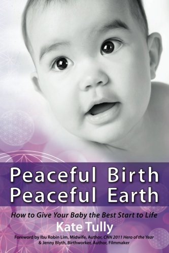 Beispielbild fr Peaceful Birth Peaceful Earth: How To Give Your Baby The Best Start To Life zum Verkauf von Marlowes Books and Music