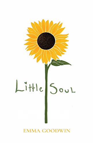 Stock image for Little Soul for sale by Lucky's Textbooks